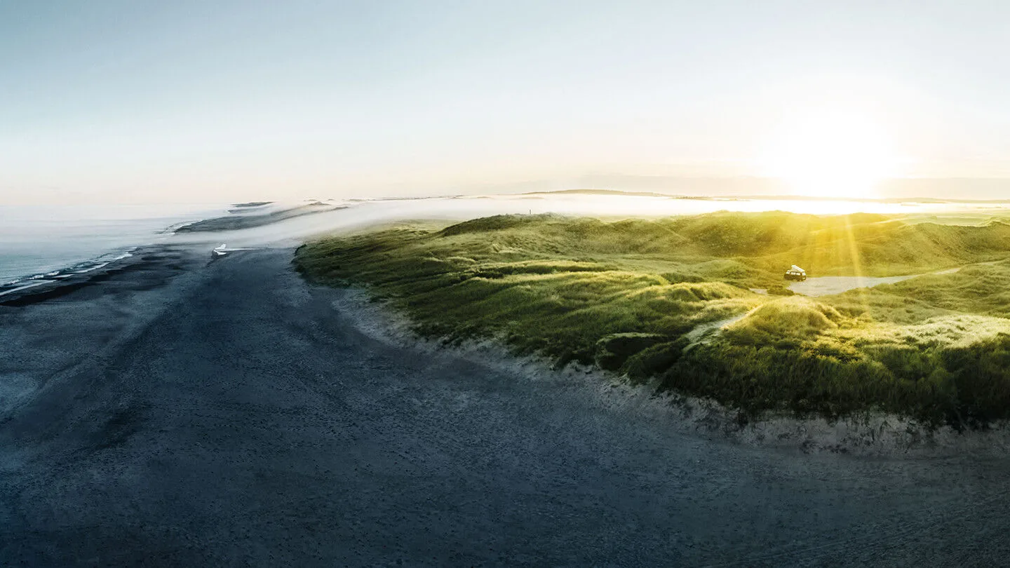grüne Natur mit Sonneneinstrahlung 